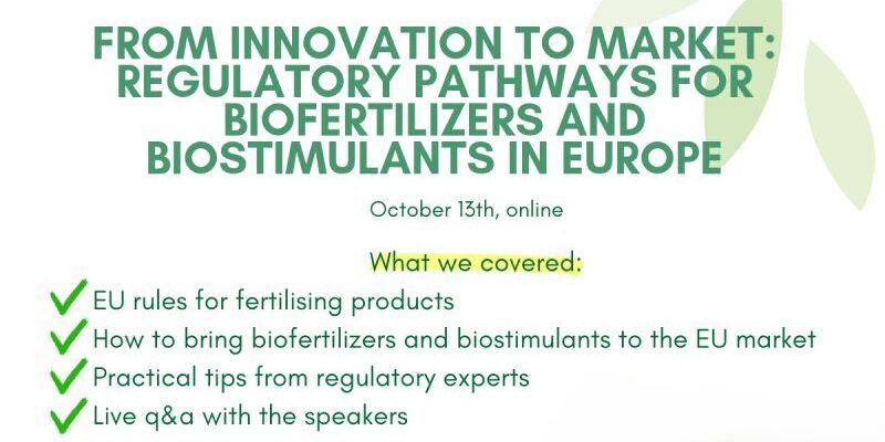 webinar 3